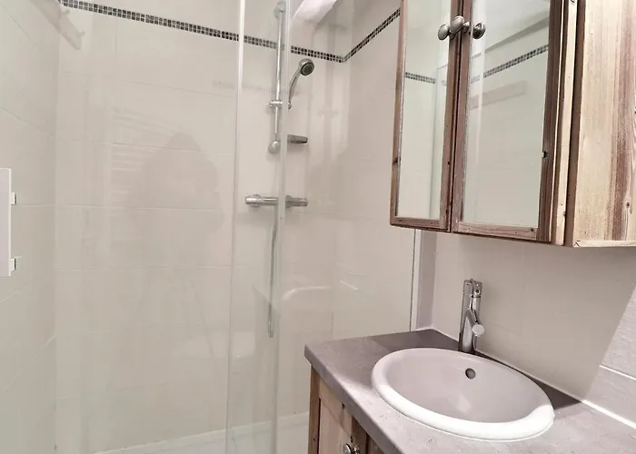 Confortable 2 Pieces + Cabine, Animaux Admis, Skis Aux Pieds - Fr-1-182a-11 * Courchevel