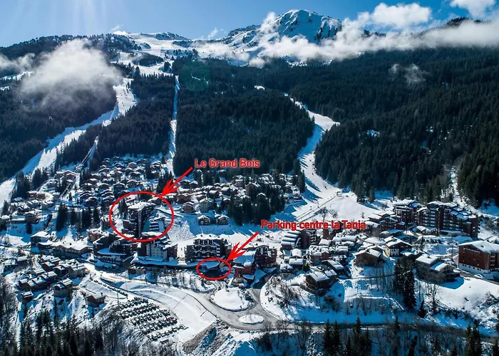 Confortable 2 Pieces + Cabine, Animaux Admis, Skis Aux Pieds - Fr-1-182a-11