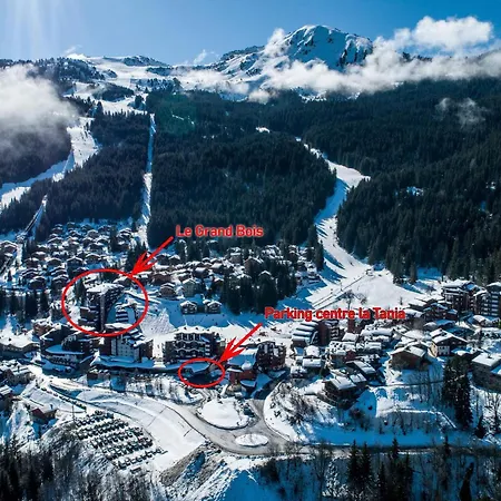 Confortable 2 Pieces + Cabine, Animaux Admis, Skis Aux Pieds - Fr-1-182a-11