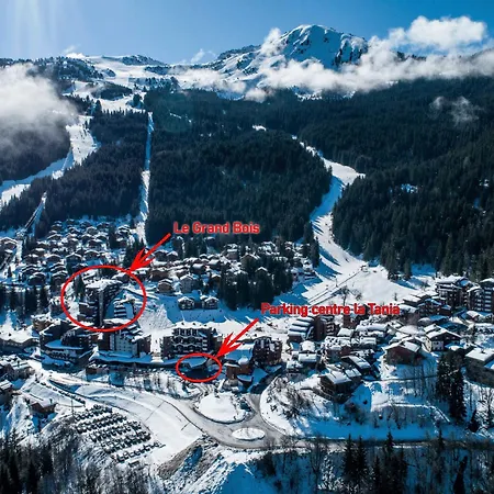 Confortable 2 Pieces + Cabine, Animaux Admis, Skis Aux Pieds - Fr-1-182a-11 Courchevel