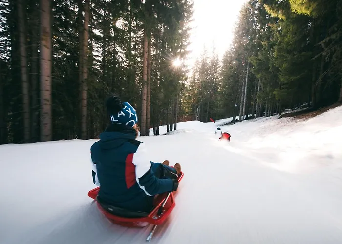 شقة Confortable 2 Pieces + Cabine, Animaux Admis, Skis Aux Pieds - Fr-1-182a-11